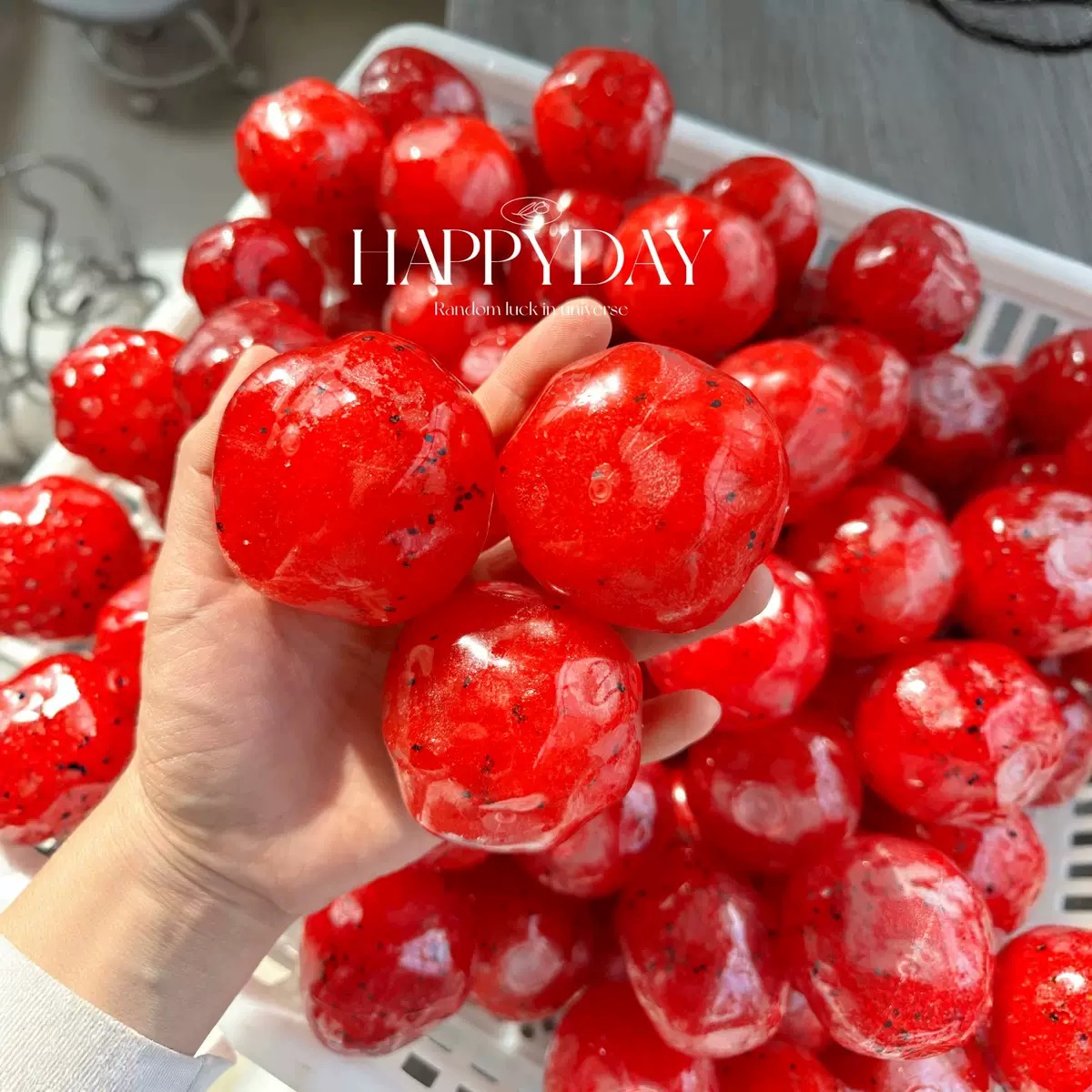 لعبة ضغط يدوية الصنع على شكل س - مراجعة Party Games Young Adults وسعره